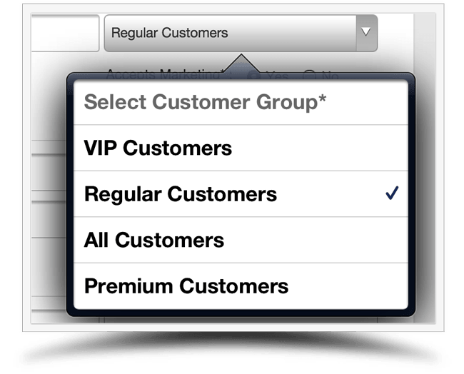 Customer Groups